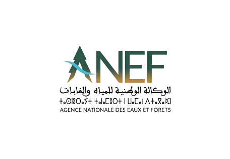 Logotipo da ANEF com árvore e texto bilíngue