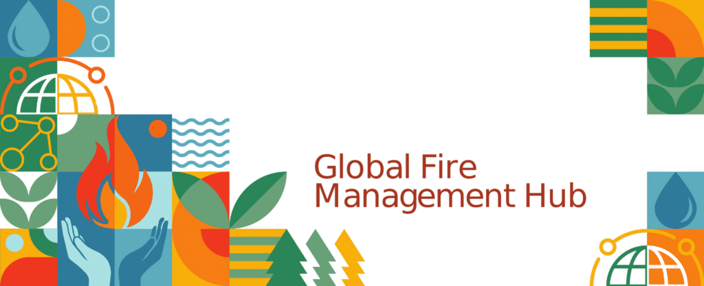 Banner do Global Fire Management Hub com ícones ambientais